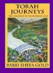 Torah Journeys book