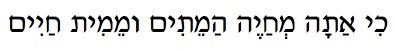 Life and Death Hebrew text