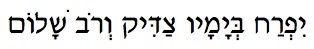 Oh Justice Hebrew text