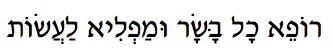 Wondrous Healer (Rofay kol) Hebrew text