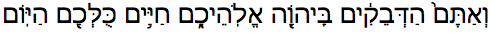 Devekut phrase in Hebrew