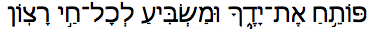 Opening to ease and flow in Hebrew