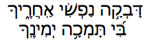 Davka in Hebrew