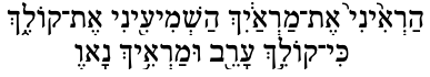 True Face in Hebrew